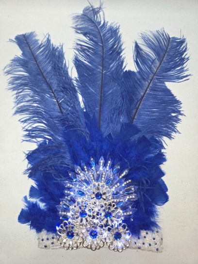 Corona cristal bordada con plumas largas