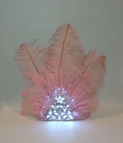 Corona cristal bordada con plumas largas